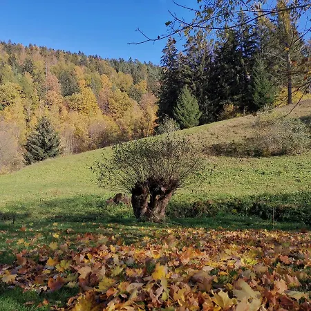 Zaczarowalim - Dom W Gorach Sowich 3* Валим