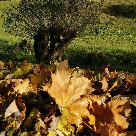 Zaczarowalim - Dom W Gorach Sowich 3*