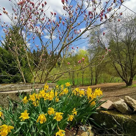 Zaczarowalim - Dom W Gorach Sowich Отель типа 