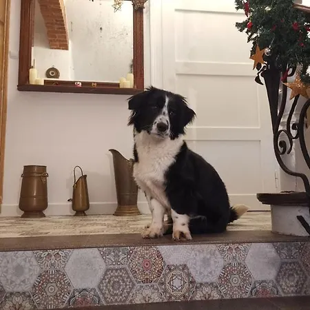 Zaczarowalim - Dom W Gorach Sowich 3*