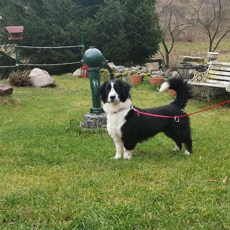 Zaczarowalim - Dom W Gorach Sowich 3*