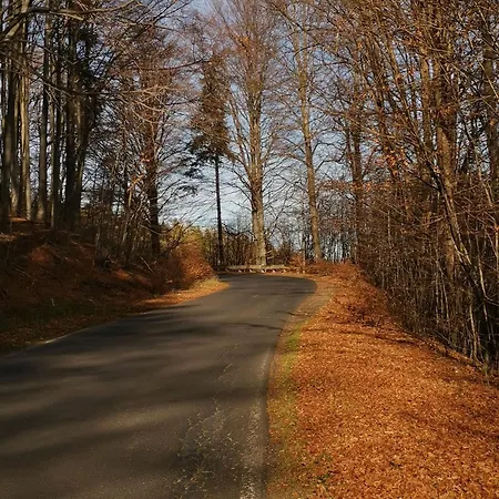 Zaczarowalim - Dom W Gorach Sowich 3*