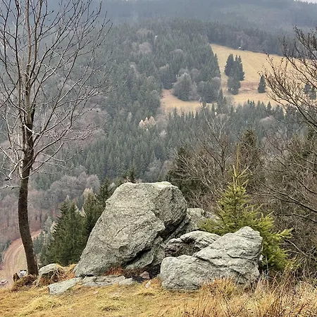 Zaczarowalim - Dom W Gorach Sowich Отель типа 