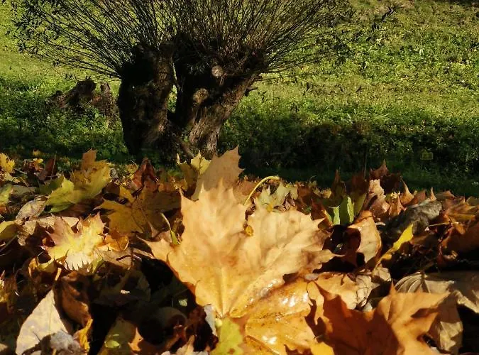 Zaczarowalim - Dom W Gorach Sowich 3*