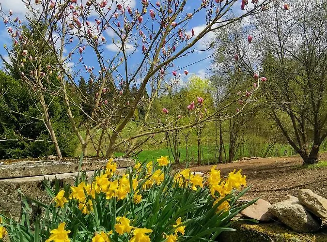 Zaczarowalim - Dom W Gorach Sowich Отель типа 