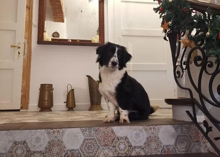 Zaczarowalim - Dom W Gorach Sowich 3*