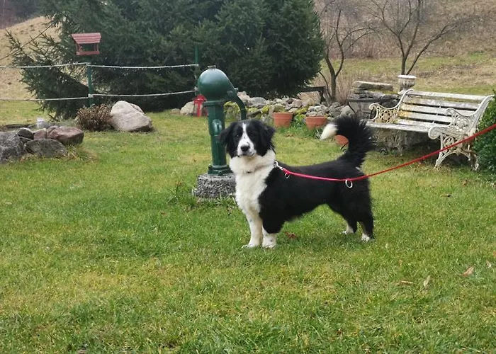 Zaczarowalim - Dom W Gorach Sowich 3*