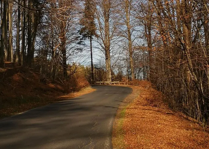 Zaczarowalim - Dom W Gorach Sowich 3*