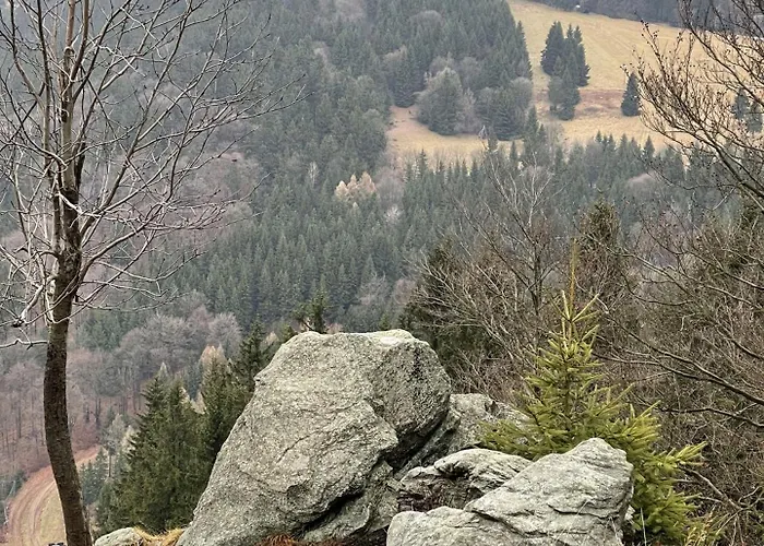 Zaczarowalim - Dom W Gorach Sowich Отель типа 