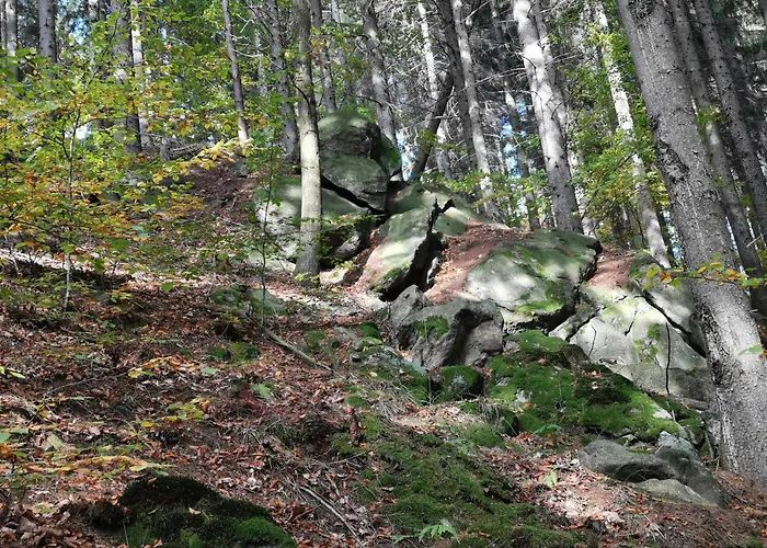 Zaczarowalim - Dom W Gorach Sowich Валим